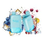 Ghiaccio al mirtillo e ciliegia frizzante Vapsolo Twins 20000 boccate 20k Due gusti diversi Vapes
