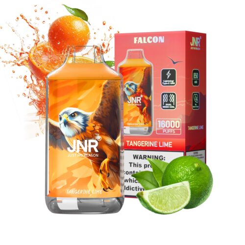 Μανταρίνι Lime puff jnr falcon 16k 16000 puffs