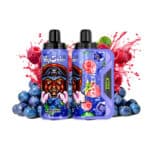 bosbes framboos Vapsolo Viking 12000 puffs 12k big puff