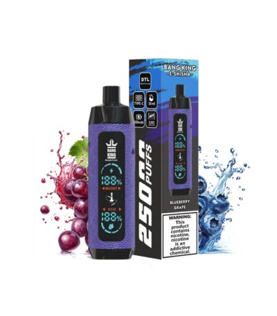 Blueberry Grape bang king E shisha 25000