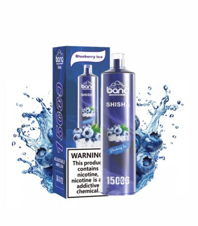 Blueberry Ice Bang shisha 15000 15k