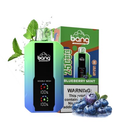 Blueberry Mint bang vape 25000