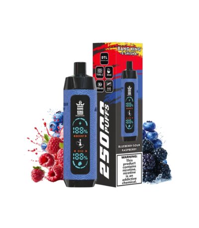 Blueberry Sour Raspberry bang king E shisha 25000