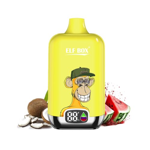 Elf Box Digital 12000 puff 12k Kokosnuss Melone