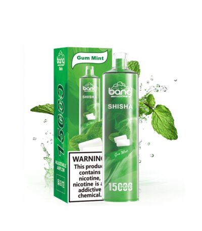 Gum Mint Bang shisha 15000 15k