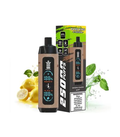 Shisha Lenmon Mint bang king E shisha 25000
