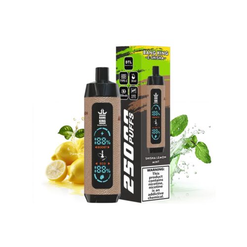 Shisha Lenmon Mint bang king E shisha 25000