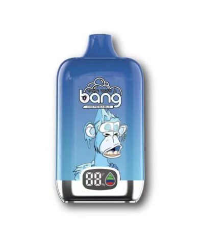 Bang King Digital Box 15000 Puff Smart Screen Blueberry Freeze