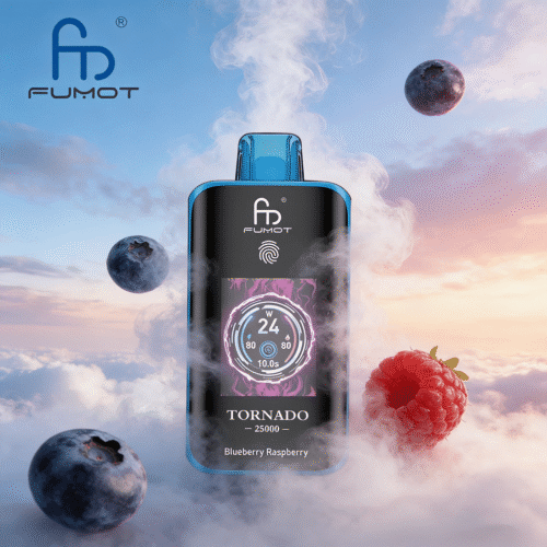 Blueberry Raspberry RandM Tornado 25000 Puffs
