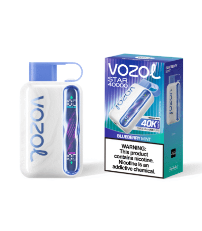 Vozol Star 40K Puffs Mirtillo e menta